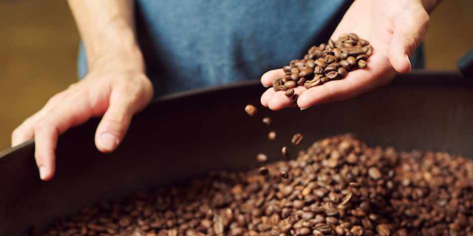 hand holding roasted coffee beans photo. How to brew specialty coffee - tips from expert coffee roaster. 